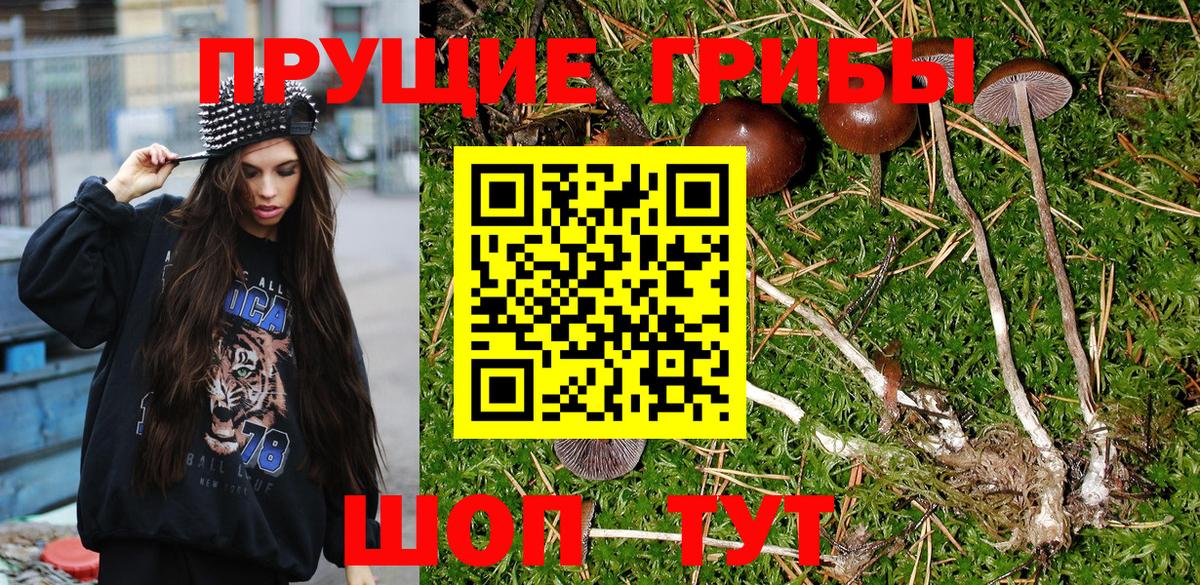 Галлюциногенные грибы Psilocybe  Псилоцибиновые грибы Psilocybine cubensis  Новошахтинск  Вход с VPN 